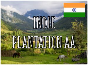 Indie Plantation AA