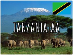 Tanzania AA