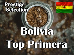 Bolivia Top Primera / Jasno palona