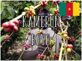Kamerun Boyo