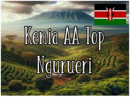 Kenia AA Top Ngurueri / Jasno Palona