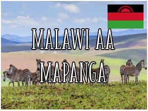 Malawi AA Mapanga / 1000g
