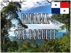 Panama SHB Boquete Garrido