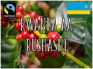 Rwanda AA Rushashi Organic Fairtrade/ 1000g