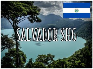 Salvador SHG Altura EP El Borbollon/ 1000g