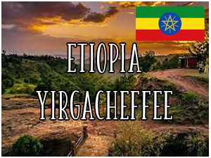 Etiopia Yirgacheffee Shakisso Gr.2 / 1000g